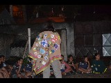 Click for preview picture of "DSC_0401 (800 x 600)"